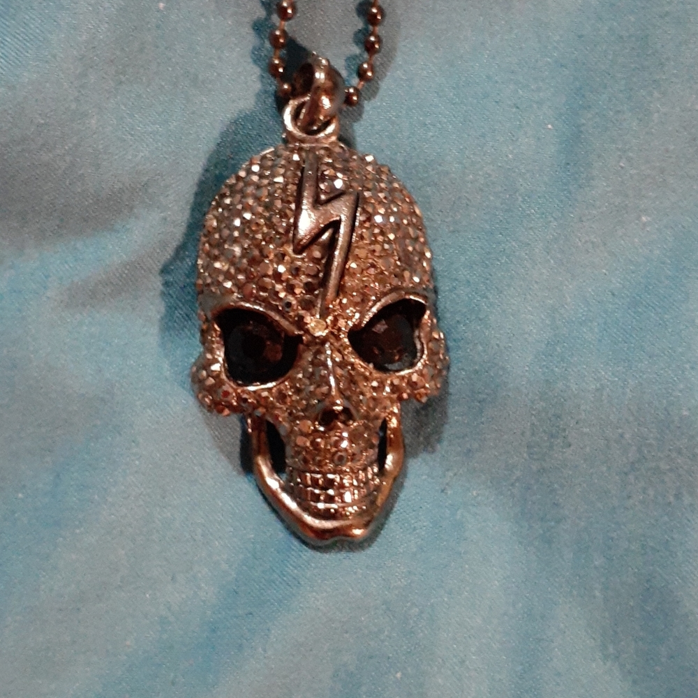 Black Skull Stainless Steel Necklace- Halloween